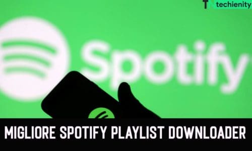 Migliore Spotify Playlist Downloader - Come scaricare Spotify Playlist