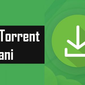 Migliori Siti Torrent Italiani di Funzionanti Maggio 2021